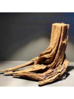 수족관 조경 침몰한 나무 그루터기 남미 통합 골격 장식 풍경 하나의 나무 풍경으로