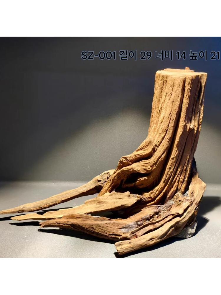 main_973433445372_0 수족관 조경 침몰한 나무 그루터기 남미 통합 골격 장식 풍경 하나의 나무 풍경으로 - 이미지 1