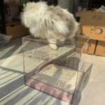 [맞춤형] 아크릴 DIY 고양이 모래상자 캐비닛 고양이 모래상자 고양이 변기 대형 냄새 방지 폐쇄형 - 이미지 3