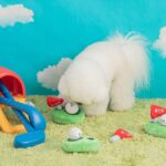 선판매~ 한국구매 정품 바이트미 반려견 골프공 사운드푸드 숨김장난감 세트 - 이미지 4