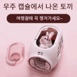 늘어진 귀를 가진 토끼를 위한 휴대용 토끼 우주선 가방, 작은 애완동물 둥지, 특수 바구니, 물림 방지 및 긁힘 방지 케이지