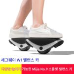 No.9 밸런스 휠 세그웨이 W1 분리형 더블 휠 전기 롤러 스케이트 핫 휠 샤오미 생태 체인