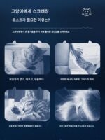 고양이 스크래칭 보드, 내마모성 및 비털갈이 사이잘 원형 고양이 스크래칭 볼, 긁힘 방지 및 자체적으로 즐거움을 주는 자체 완화 발톱 깎이, 고양이 침대 및 고양이 장난감 - 이미지 5