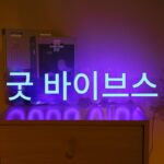 LED 백 패널 네온 조명 GOODVIBES 네온 장식 모델링 조명 5V 전원 공급 장치 투명 백 패널 네온 조명 제조업체