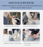 다기능 반려동물 고양이 및 개 교육용 장난감 개 사료 공 고양이 및 개 슬로푸드 릴리프 아티팩트 풍부 간식 장난감 - 이미지 4