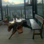 등받이 긴 벤치 야외용 원목 벤치 공원 안뜰 벤치 바베큐 커피 바 레스토랑 패스트푸드 레스토랑 의자 - 이미지 3