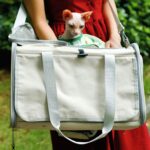 두 마리의 고양이와 개를 위한 대용량 휴대용 통기성 고양이 케이지, 휴대용 반려동물 가방 - 이미지 4