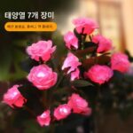 태양광 정원 조명 실외 방수 접지 플러그 정원 발코니 레이아웃 잔디 조명 조경 분위기 조명 장미 조명 - 이미지 3