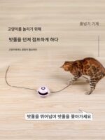사람과 고양이가 함께 즐겁게 놀고 지루함을 해소할 수 있는 전기 스마트 고양이 티저 블루투스 원격 제어 고양이 점프 머신 - 이미지 2