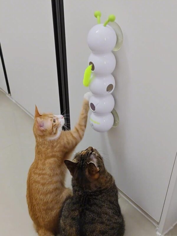 고양이 흡입 컵 장난감, 고양이 용품, 셀프 엔터테인먼트 도구, 전기 지능형 센서 애벌레 반려동물 장난감