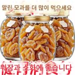 특별 할인 정통 죽염 모과 건조 천연 건조 과일 기침 완화 레저 씨 없는 보존 과일 피파 첨가물 없는 달콤하고 신맛 나는 간식 - 이미지 4