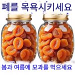특별 할인 정통 죽염 모과 건조 천연 건조 과일 기침 완화 레저 씨 없는 보존 과일 피파 첨가물 없는 달콤하고 신맛 나는 간식 - 이미지 5