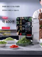 상업용 다기능 전기 소형 양파, 부추, 절인 양배추, 고추 및 셀러리 절단기 - 이미지 5