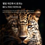 고화질 야간 투시 기능이 있는 가슴형 카메라가 장착된 법 집행 기록 장치로 휴대용 작업 녹화 가능 - 이미지 4