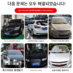 자동차 이동기 부동산 주차 수동 견인 도구 유압 범용 휠 자동차 이동 도구 - 이미지 4