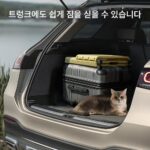 야외 고양이 상자 접이식 휴대용 가방 대용량 트롤리 상자 애완 고양이 항공 상자 - 이미지 4