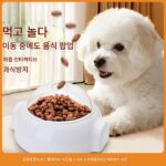 새로운 반려동물 장난감 퍼즐 음식 누출기 롤링 음식 훈련 지루함 해소 대화형 느린 먹이주기 개와 고양이는 보편적입니다