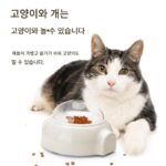 새로운 반려동물 장난감 퍼즐 음식 누출기 롤링 음식 훈련 지루함 해소 대화형 느린 먹이주기 개와 고양이는 보편적입니다 - 이미지 4