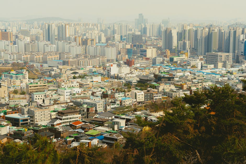 세종 신혼부부 청년 지원정책 이미지 1