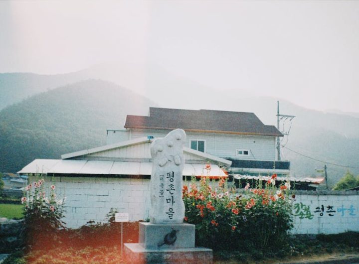 featured 16587992