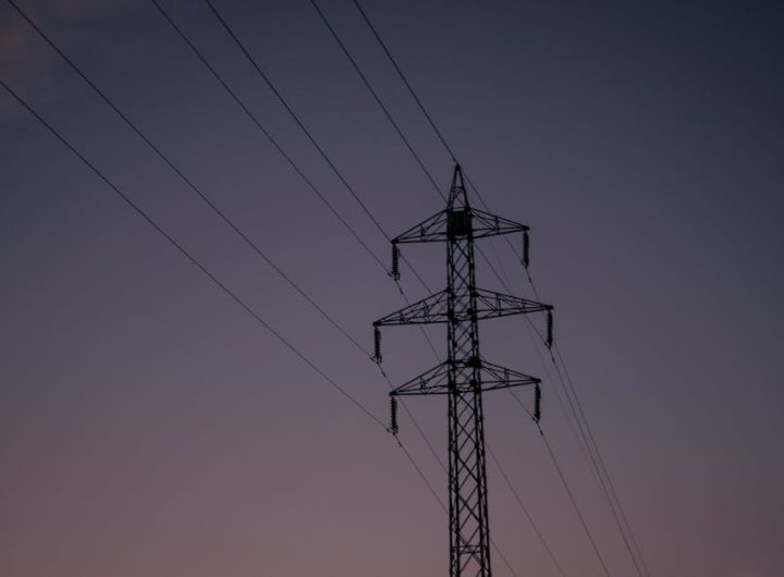 featured pexels 10532187