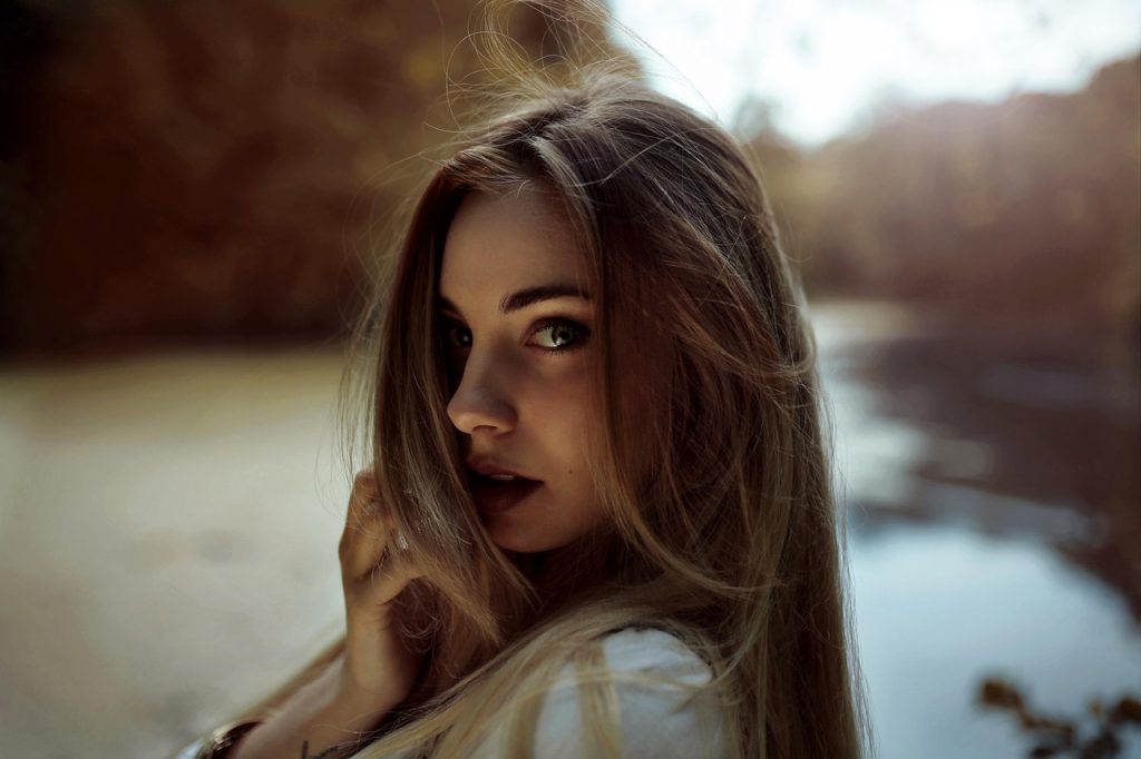 featured pixabay 1844729