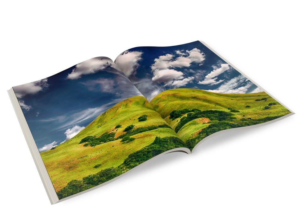 featured pixabay 2614854