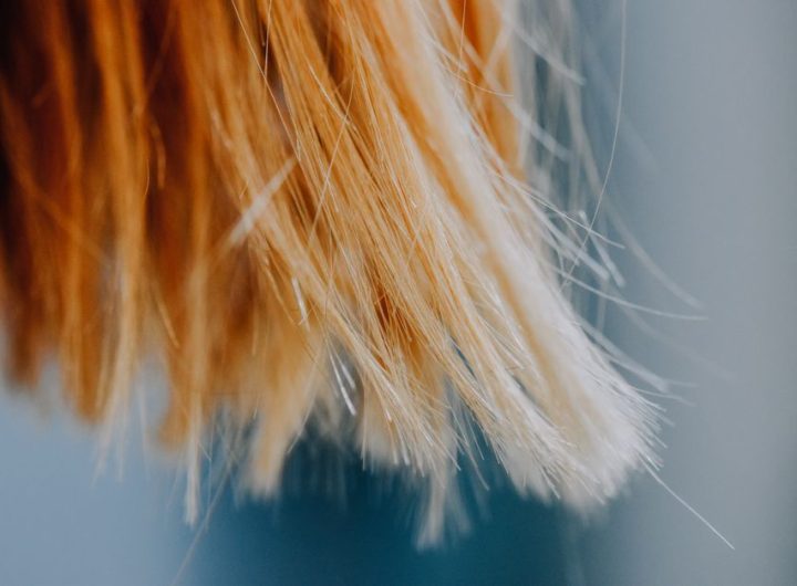 featured pexels 7482357